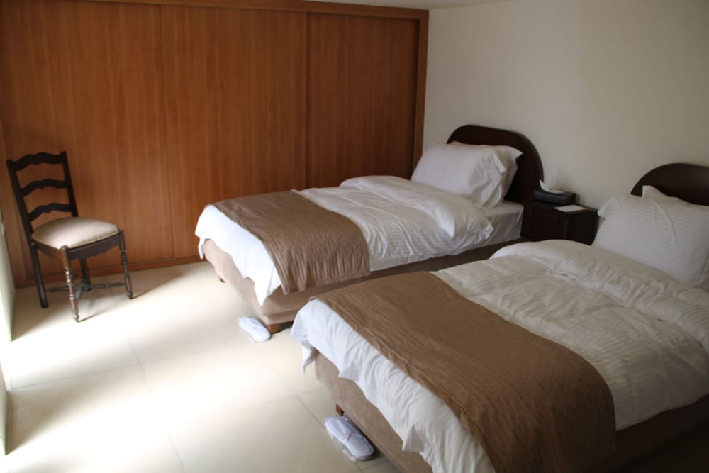 Lemir Faisal Arslan Stay at the Museum in Aaley, Lebanon