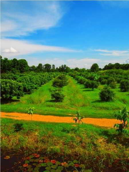 Therdthai Farm Boutique Hotel in Sukhothai, Thailand