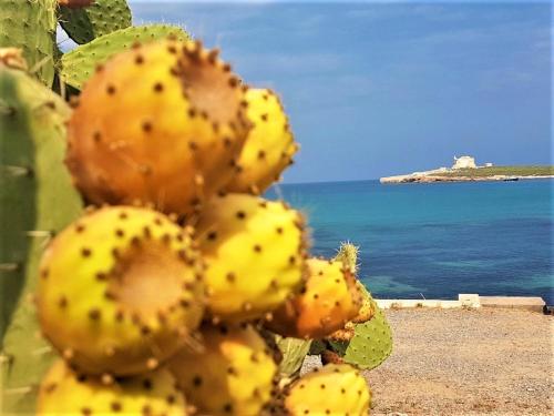 Cortile Davì in Ortigia — 4-Star Luxury Hotel in Siracusa, Italy