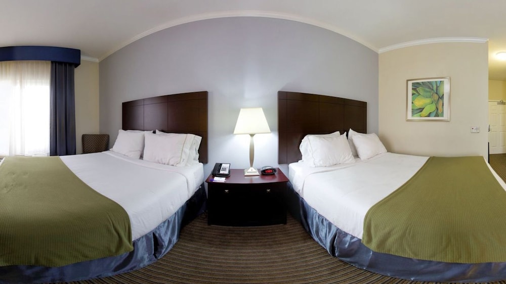 Holiday Inn Express Hotel & Suites New Iberia Avery Island by IHG - photo 3