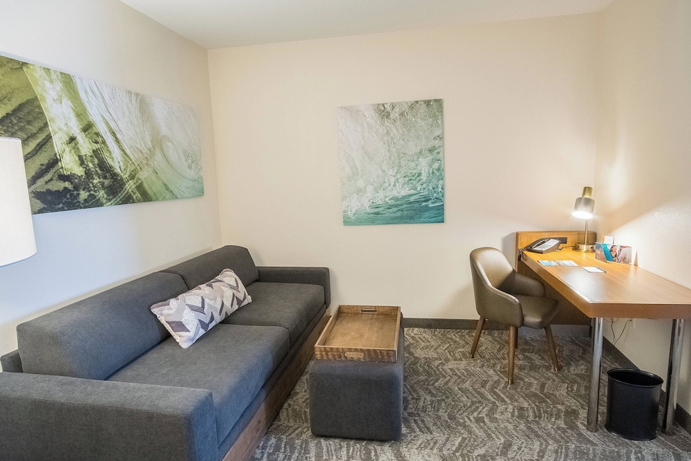 Springhill Suites by Marriott Winston Salem Hanes Mall - photo 4