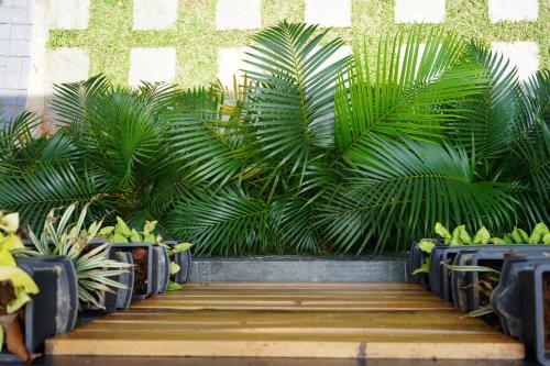 Nature 2BHK AC Villa Trivandrum — 4-Star Luxury Hotel in Thiruvananthapuram, India