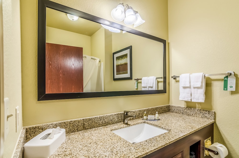 Cobblestone Inn & Suites Vinton - photo 26