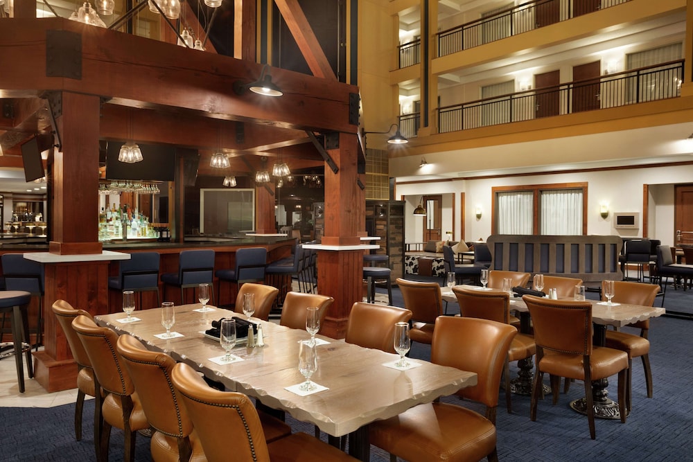 Embassy Suites by Hilton Denver International Airport - photo 42