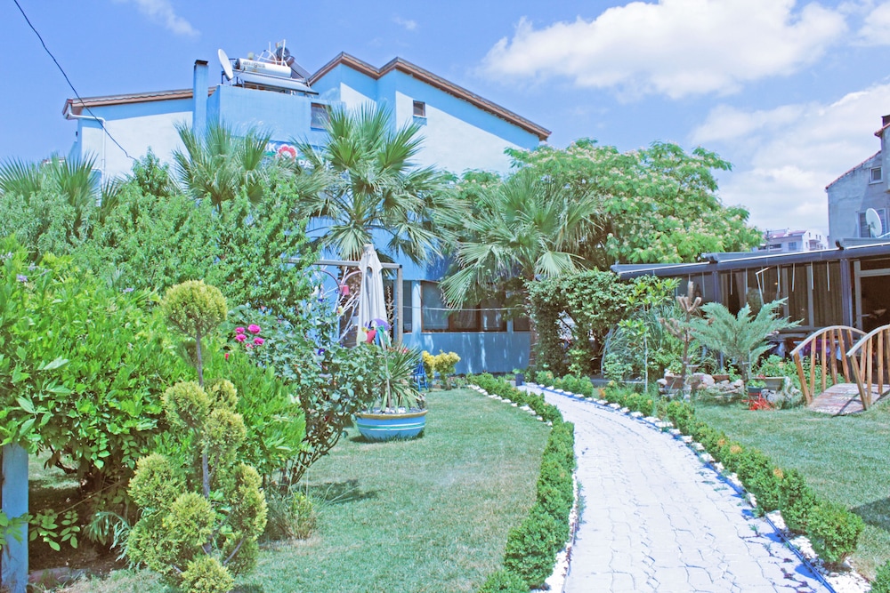 Geyikli Gelincik in Ezine, Turkey