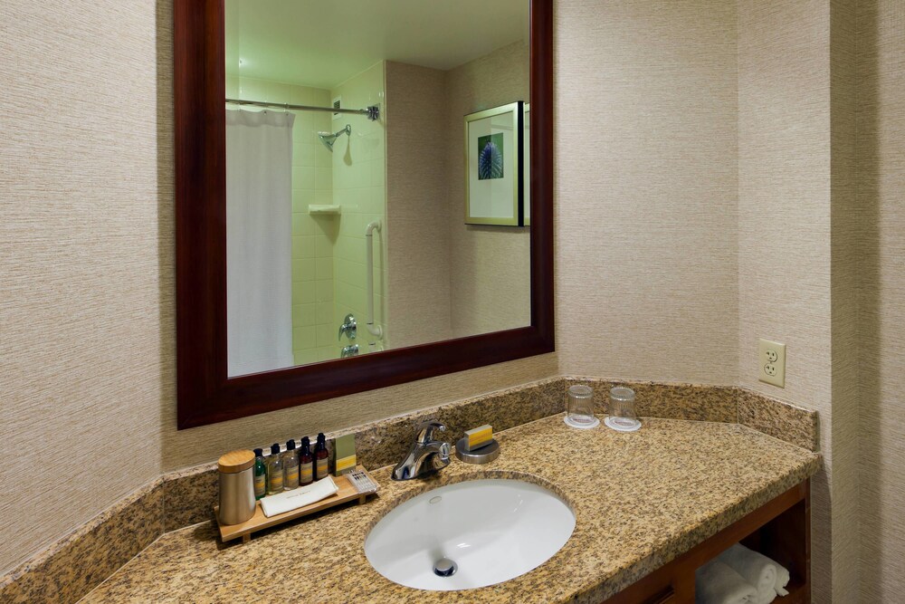 Marriott Denver South at Park Meadows - photo 9