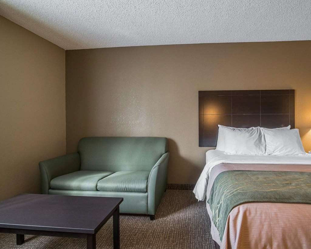 Comfort Inn Saugerties - photo 10