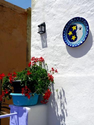 Terres de l'Ebre experience - last minute hotel in Ulldecona