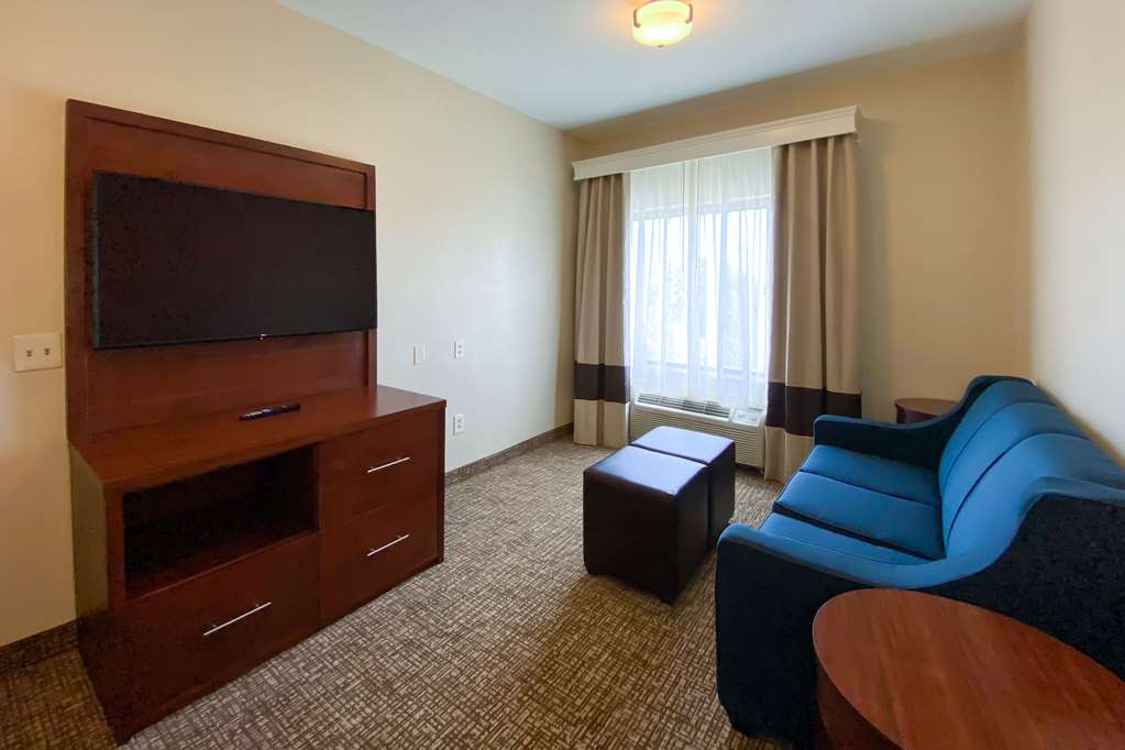 Comfort Inn East Windsor Springfield - photo 15