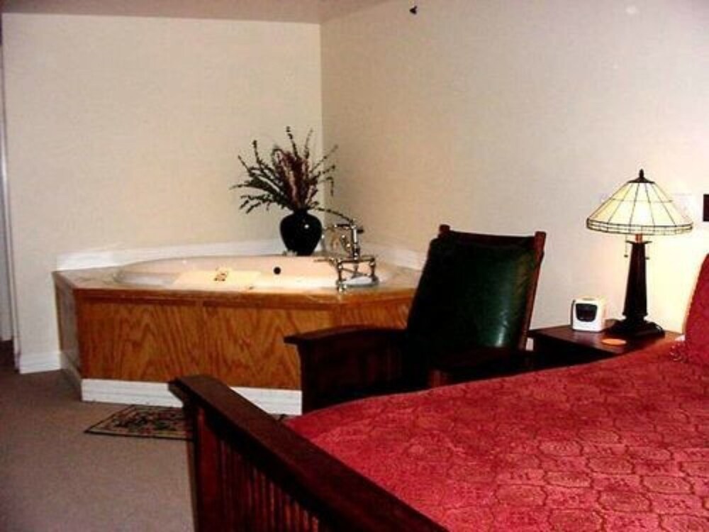 Alps Boulder Canyon Inn - photo 46