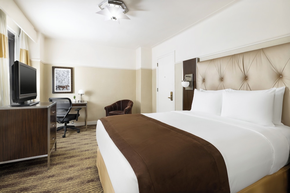 New Yorker by Lotte Hotels - photo 14