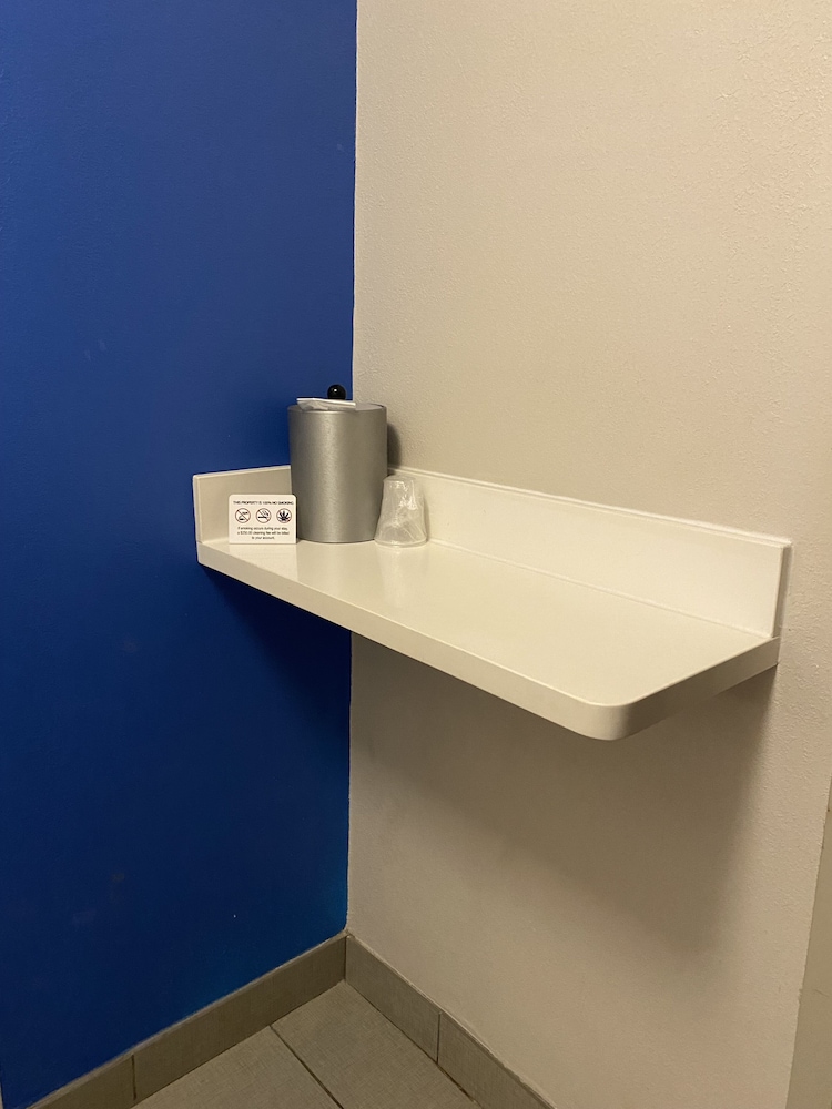 Holiday Inn Express Metropolis - photo 17