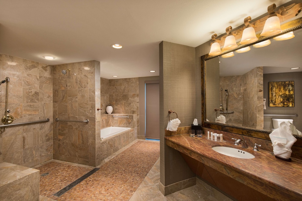 Embassy Suites by Hilton Dallas Frisco Hotel & Convention Center - photo 28