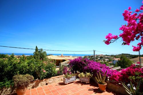 Marquesa VA 6P — Denia — photo 4