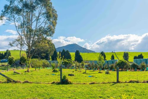 Lush Escape Lake Taupo Holiday Home — 4-Star Luxury Hotel in Turangi, New Zealand