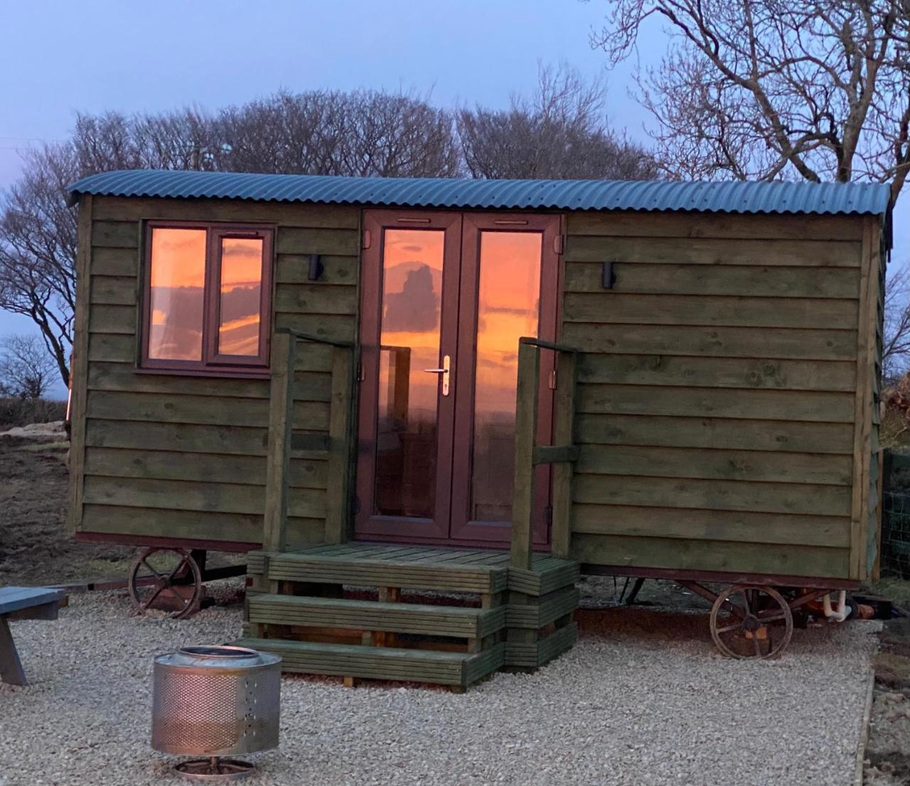 Stags Hide in Narberth, United Kingdom