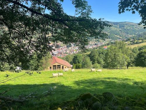 Les Authentics Le Retour Aux Sources — La Bresse