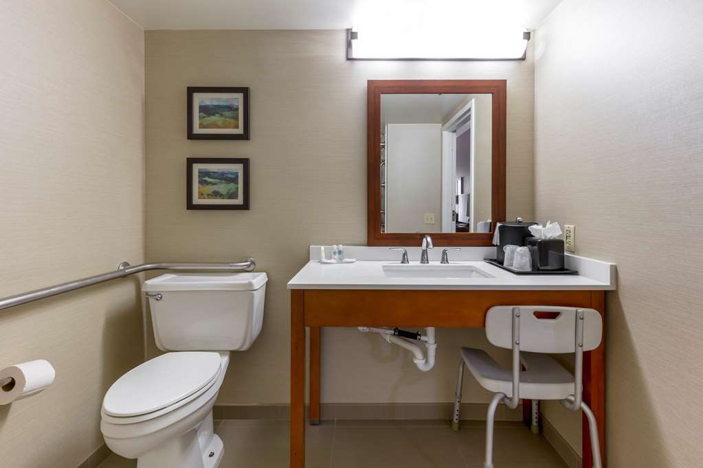 Comfort Inn University Durham Chapel Hill - photo 17