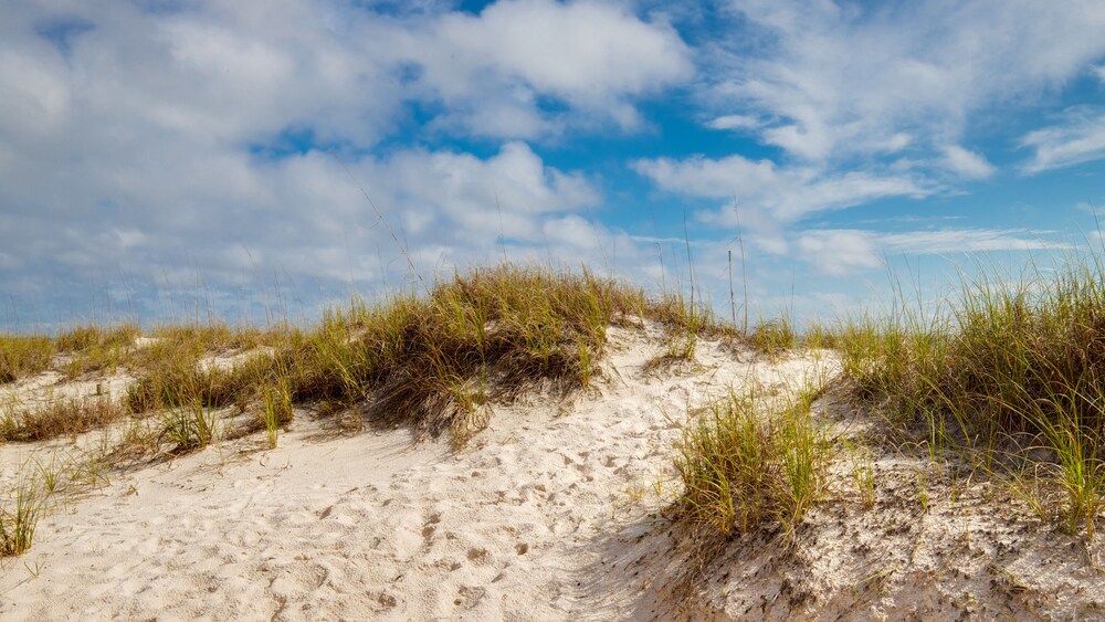 Surfside 5 By BlueSwell - photo 52