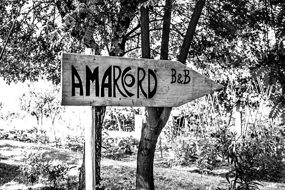 Amarcord - carbon neutral hotel in Bagnoregio