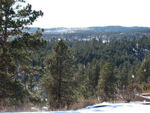 Priceless Black Hills View - photo 11