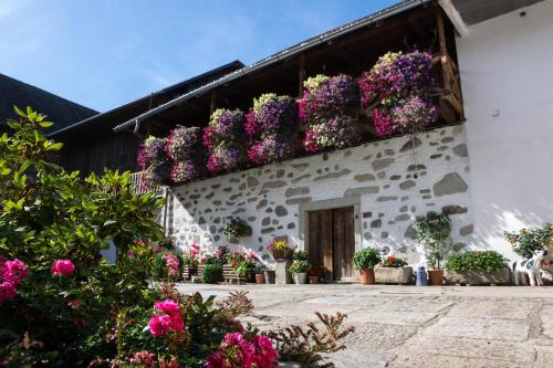 Pammer - last minute hotel in Freistadt