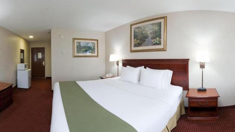 Holiday Inn Express Hotel & Suites Murphy by IHG - photo 11
