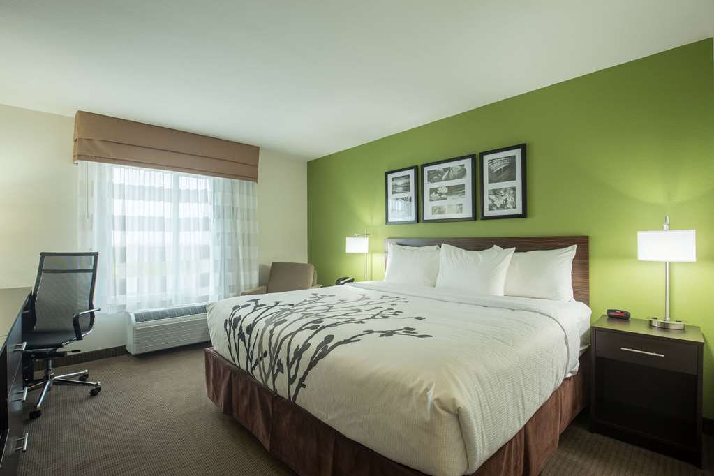 Sleep Inn & Suites Ingleside Corpus Christi - photo 14
