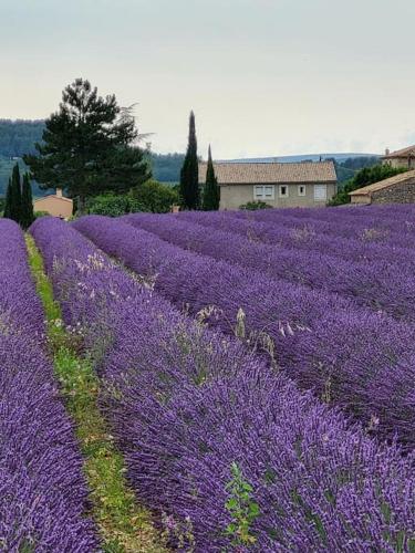 La Grange des Joumillons - last minute hotel in Unknown City