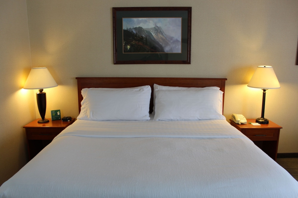 3 Rivers Hotel - photo 6