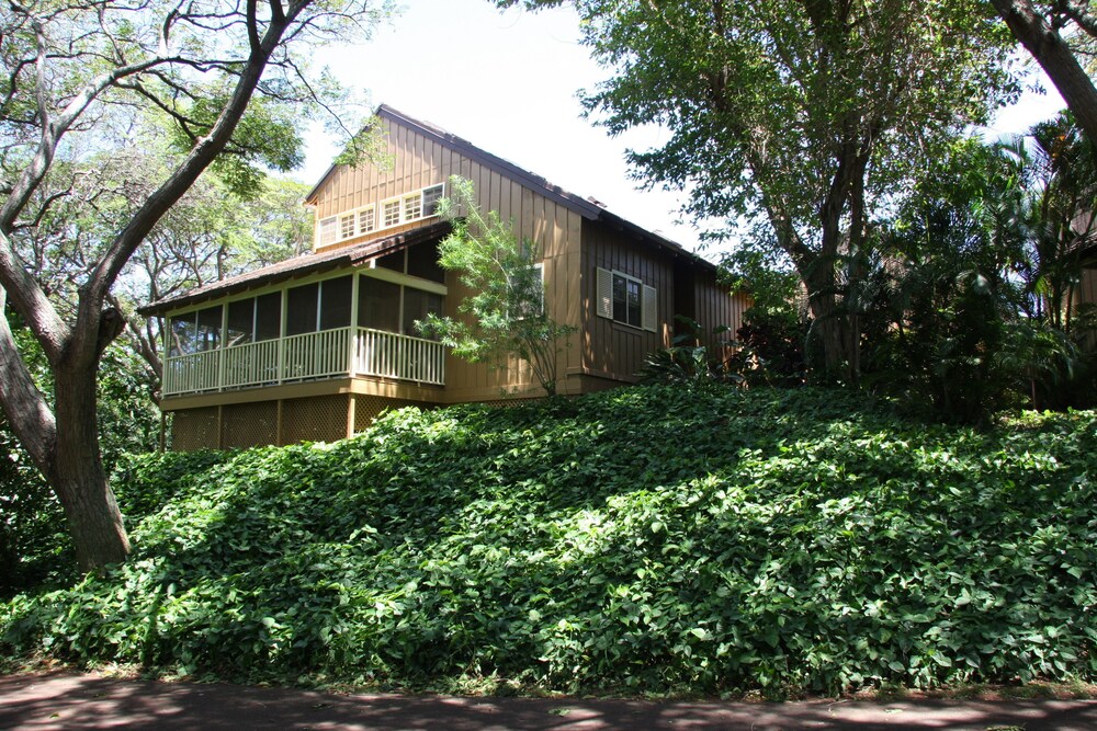Molokai Vacation Properties Paniolo Hale - photo 9
