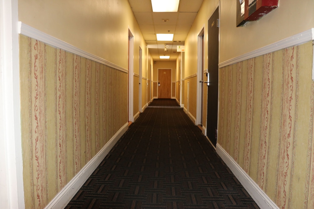 Europa Hotel - photo 54