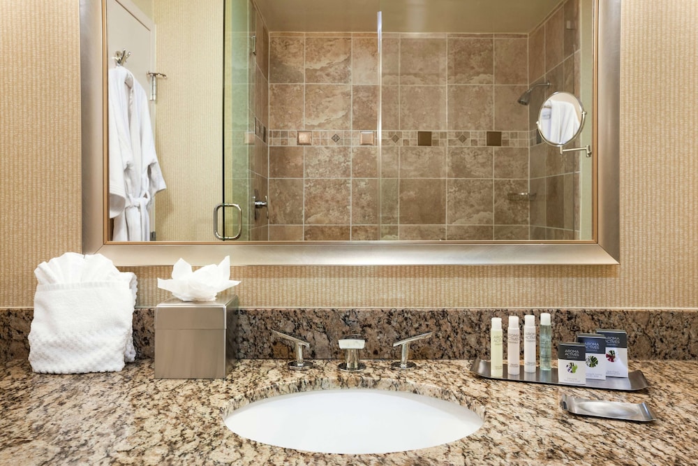 DoubleTree by Hilton Hotel Dallas Love Field - photo 33