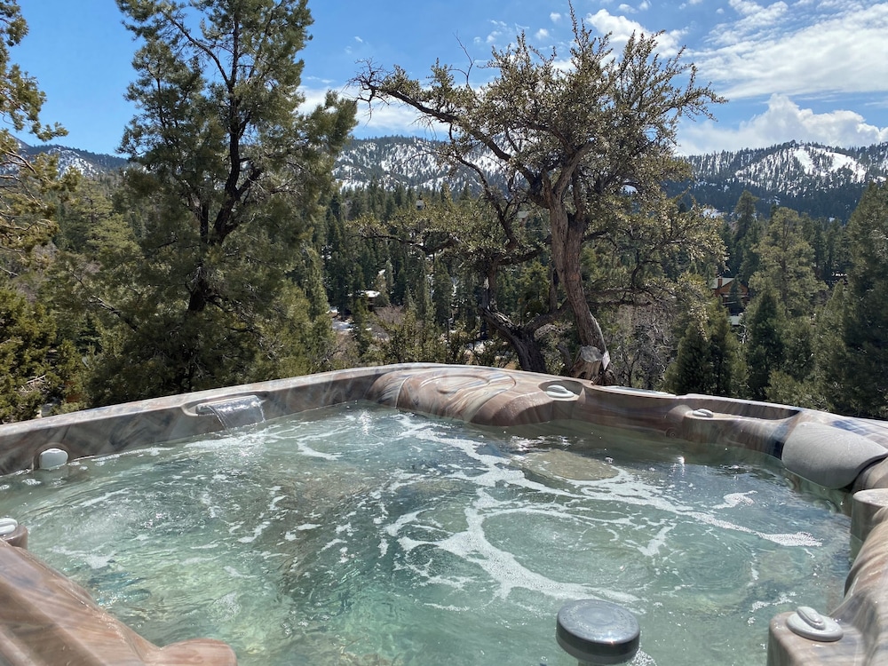 Bearadise Views - photo 6