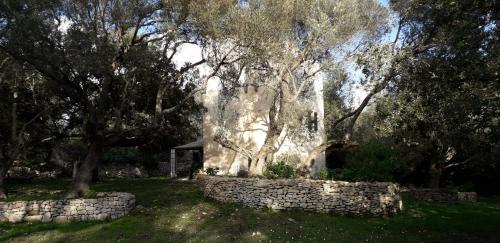 Tour Casella in Bonifacio, France