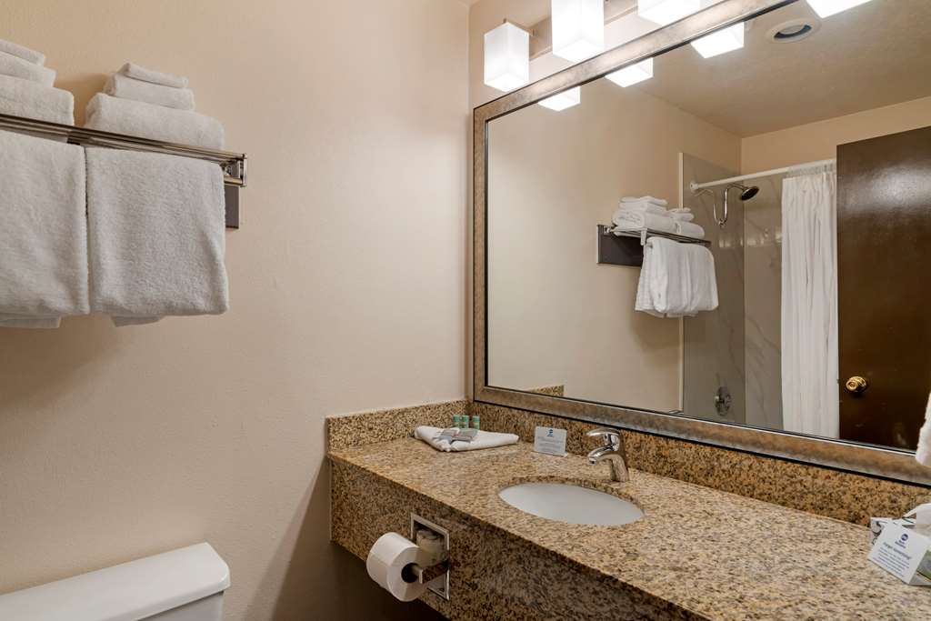 Best Western Pony Soldier Inn Airport - photo 21
