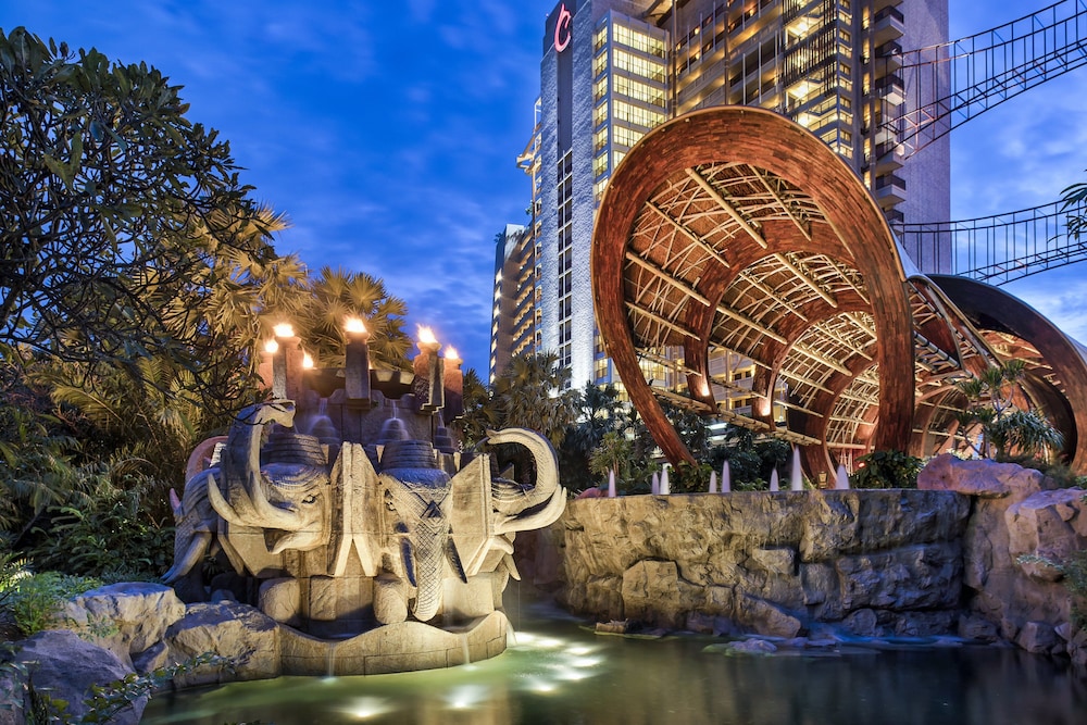 מראה חיצוני