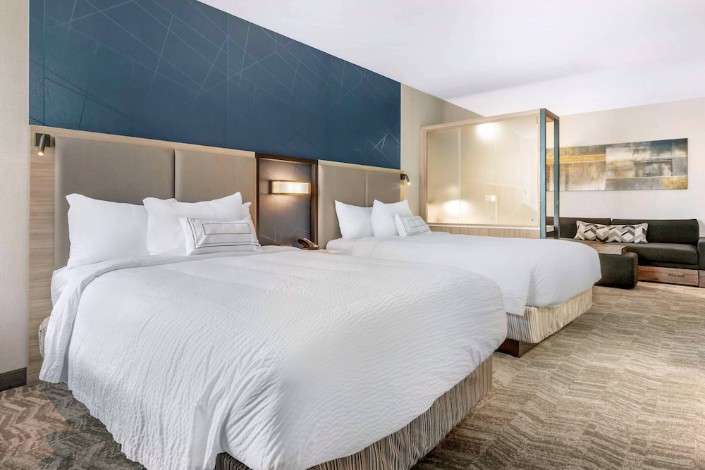 SpringHill Suites by Marriott Charlotte Southwest - photo 8