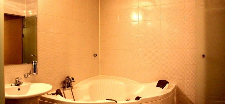 Palace Hotel - carbon neutral hotel in Cheonan