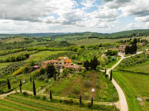 Vallone di Cecione in Greve In Chianti, Italy