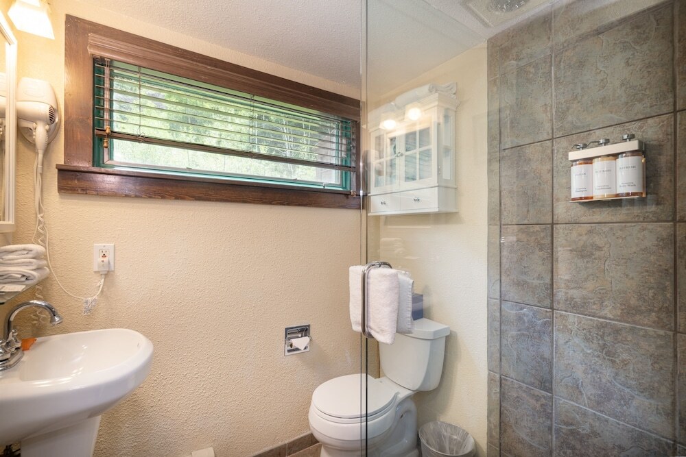 Manitou Lodge 7 Hotel Room by Alpine Lodging Telluride - photo 6
