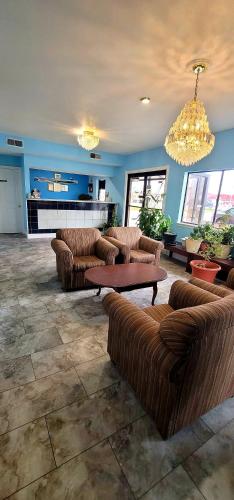 M Star Hotel Hayti - photo 6