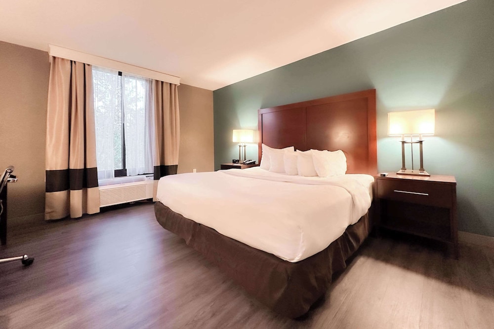 The Adventure Hotel by the parks - photo 25