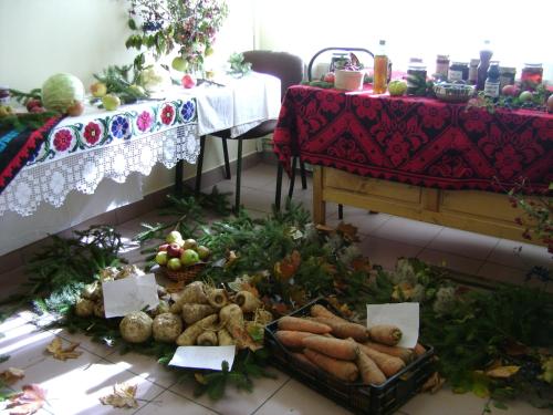 Pensiunea Popasul Iancului — Marisel — photo 5