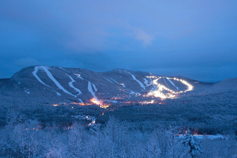 Snow Cap Inn - photo 17