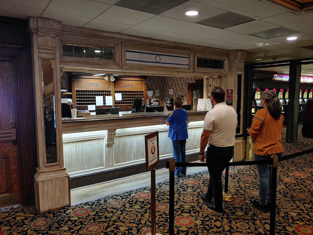 The New Pioneer - photo 2