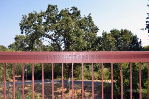 Sebastopol Inn - photo 35