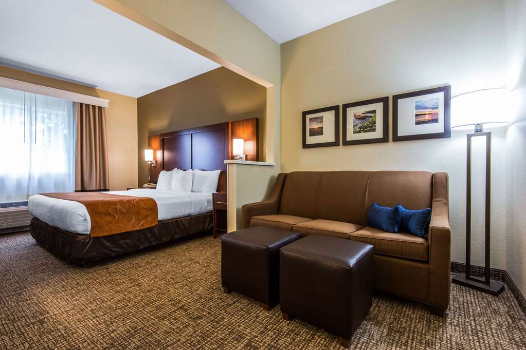 Comfort Suites Rochester Henrietta University Area - photo 17