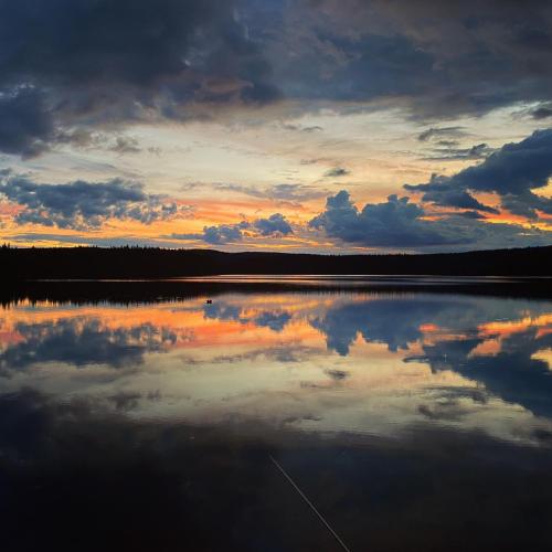 Stora älg Ferienhaus am Älgsjön in Arvika, Sweden