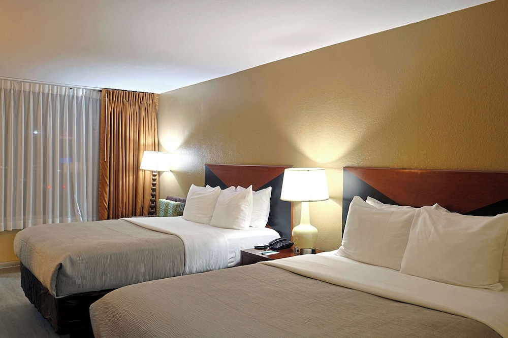 Quality Inn Kennedy Space Center - photo 46